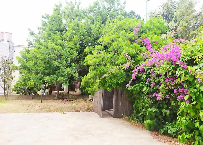 Michelangelo アパート ヴィッラシミーウス